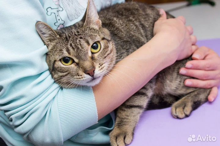 Отдам в хорошие руки