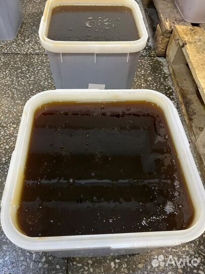 Мед гречишный свежий оптом