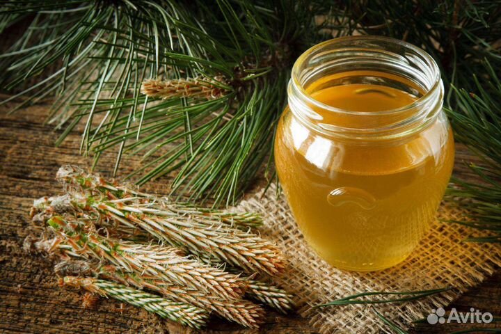 Сосновая пыльца в меду