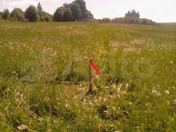 Участок 9 сот. (ИЖС)