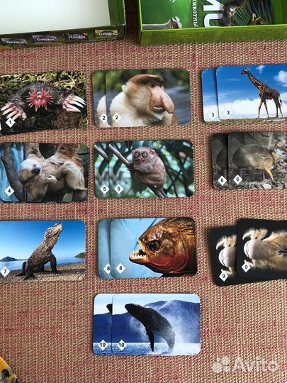 Настольная игра мемо