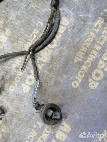 Проводка подкапотная Daewoo Nexia седан F16D3 2008