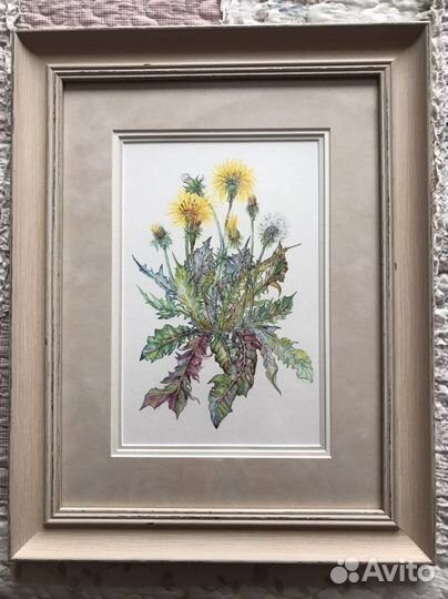 Картины в раме Одуванчики и Артишоки