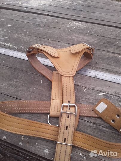 Шлейка зоомастер