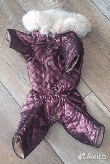 Комбинезон для йорка dogmoda