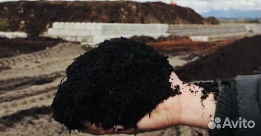 Чернозём Рязанский Земля плодородная k67