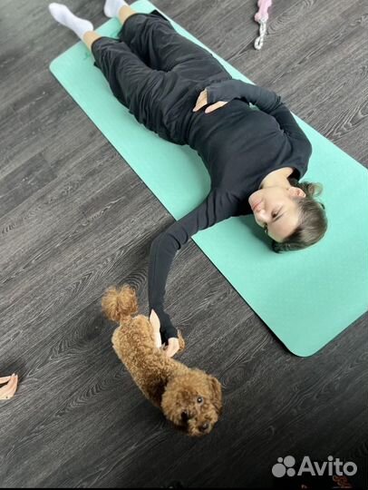 Щенки на йогу