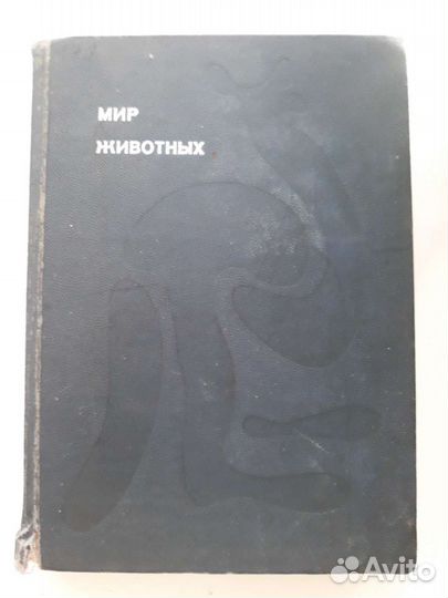 Книга о животных