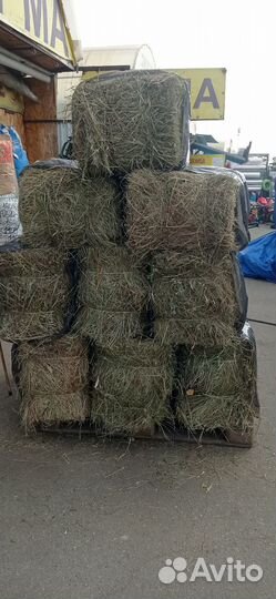 Сена солома