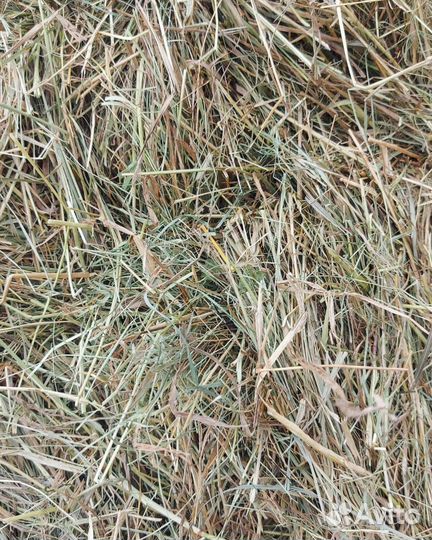 Сено солома в тюках