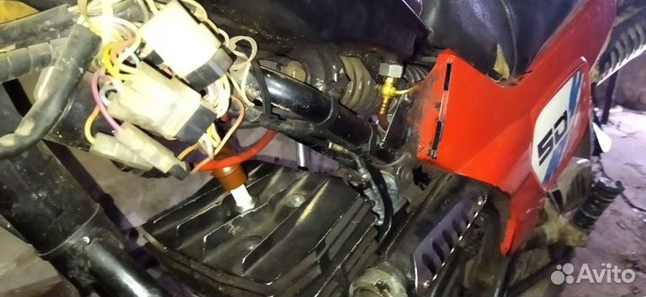 Зид пилот 50