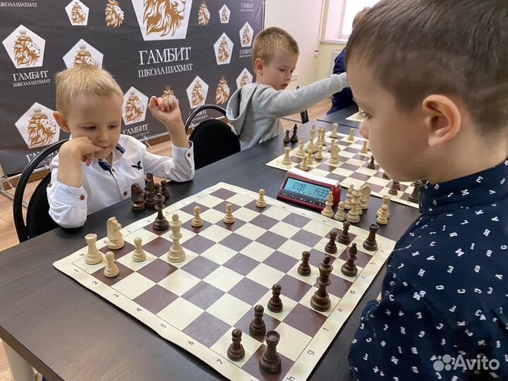 Тренер по шахматам (чмр)