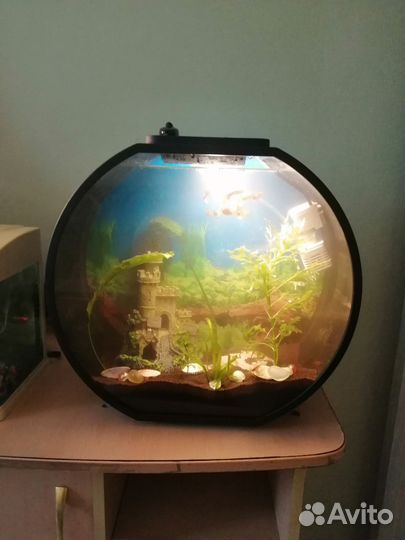 Аквариум Deco 20л