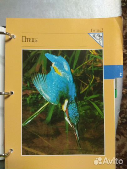 Папка энциклопедия