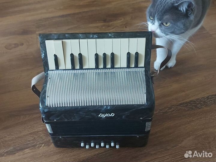 Аккордеон детский Беларусь