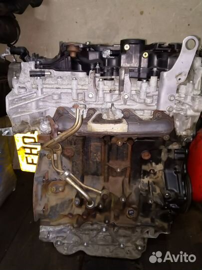 Двигатель рено колеос 1 ниссан x-tral 2.0 дизель