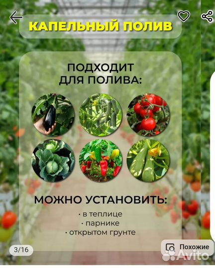 Капельный полив для теплиц из бочки