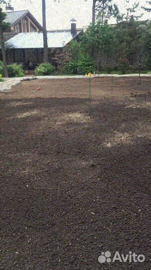 Рулонный газон, укладка, продажа