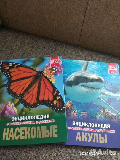 Энциклопедия для детей