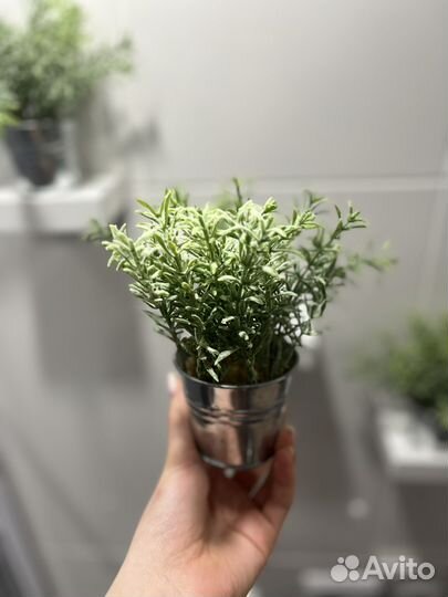 Полки настенные с искусственными растениями