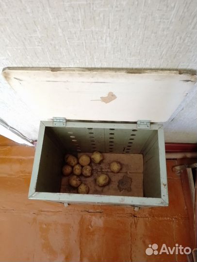 Ящик для хранения овощей