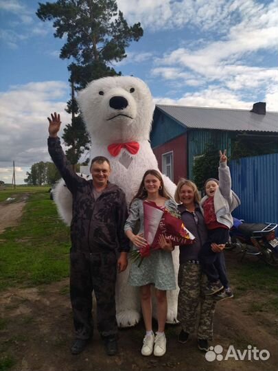 Белый мишка поздравление