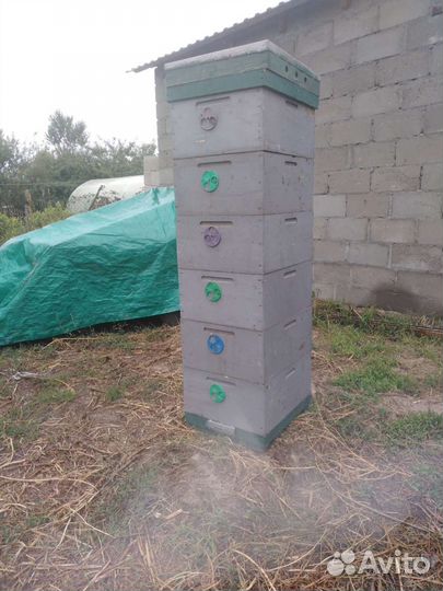 Улей для пчел