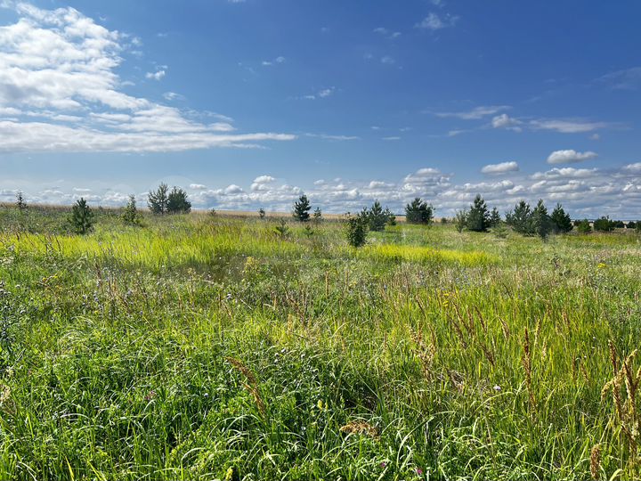 Участок 8,3 га (СНТ, ДНП)