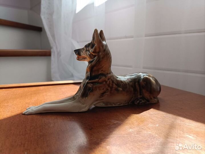 Собака овчарка лфз