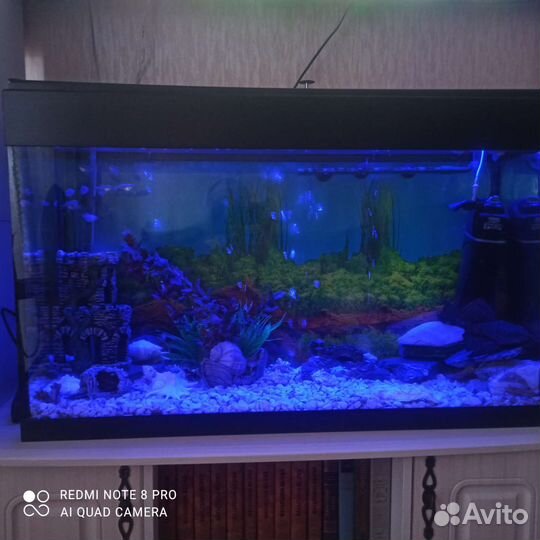 Аквариум