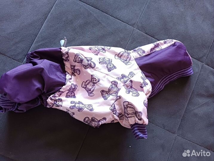 Одежда для собак