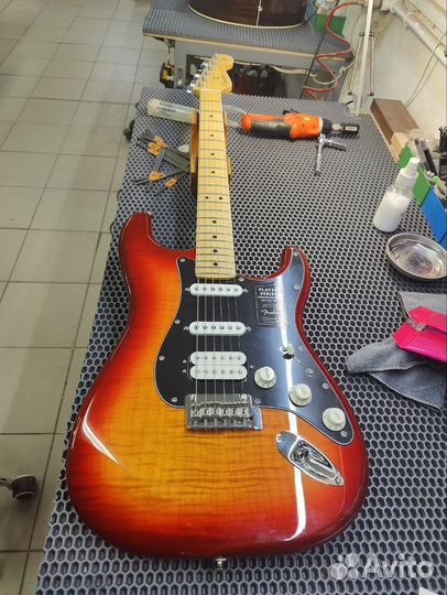 Fender player stratocaster plus top hss
