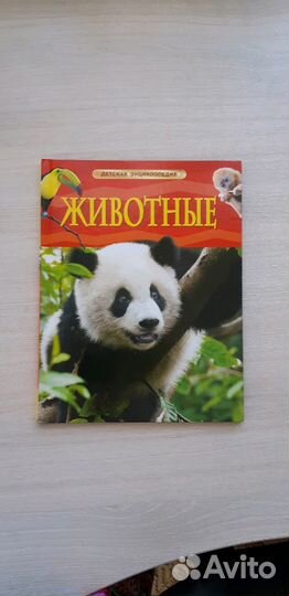 Энциклопедия Животные