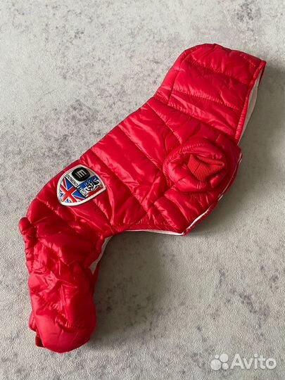 Одежда для собак