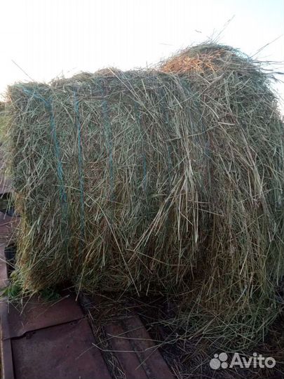 Сено в рулонах