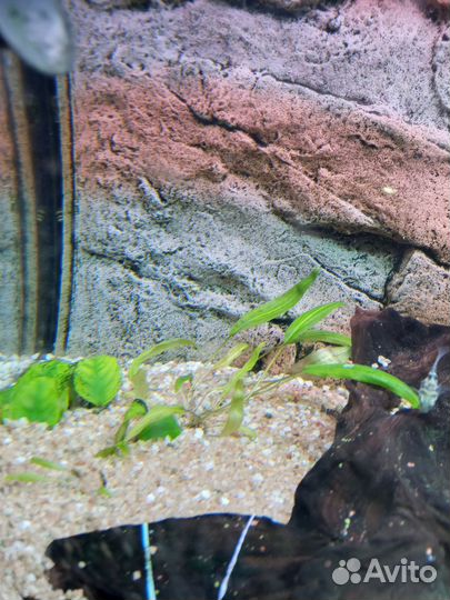 Аквариум с тумбой