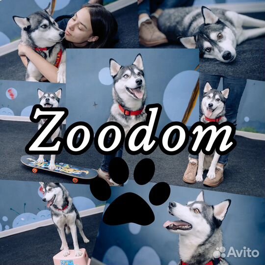 Передержка