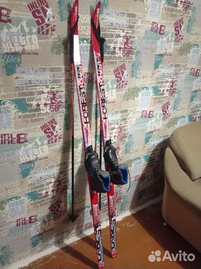 Лыжи беговые Forest