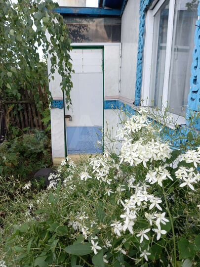 Дача 24 м² на участке 8 сот.