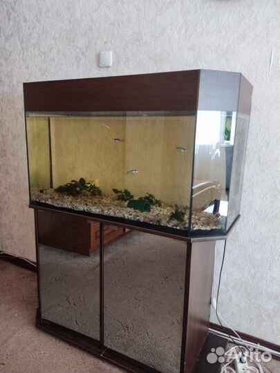 Аквариум С тумбой 200 литров