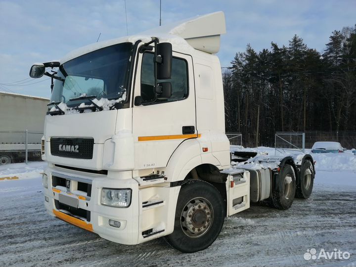 КАМАЗ 65206-Т5, 2018