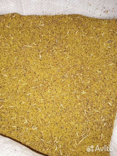 Семена люцерны