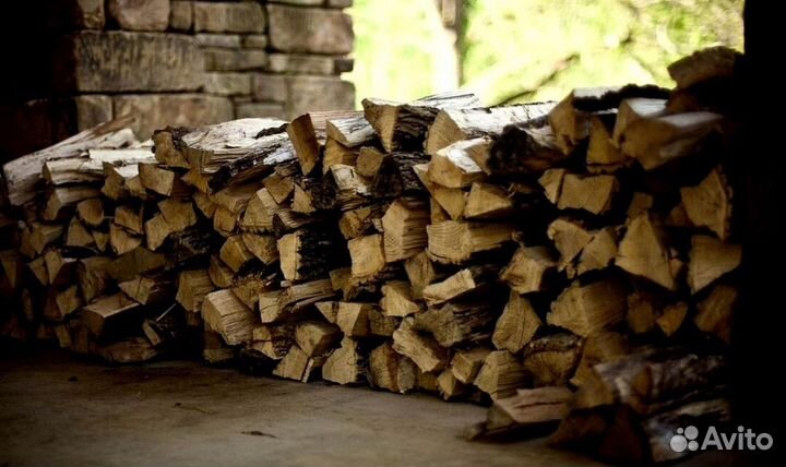 Береза на выбор