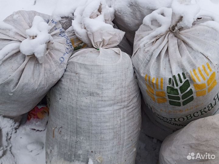 Голубиный помёт