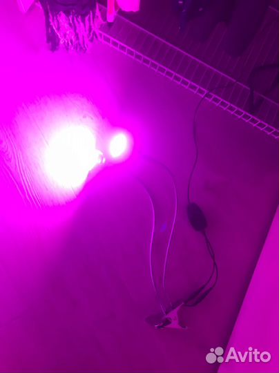 Фитолампа для растений полный спектр