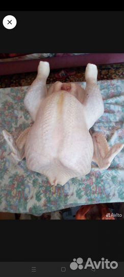 Мясо индейки