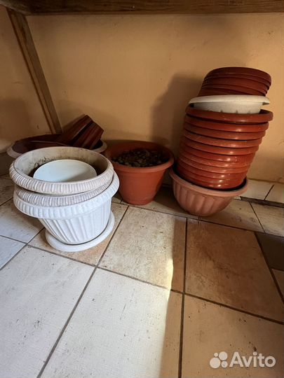 Горшки, кашпо, вазы, цветы. Бочок для унитаза