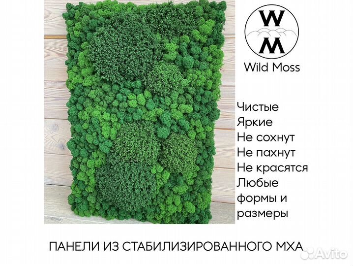 Панели из стабилизированного мха