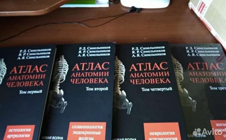 Атсал анатомии человека Синельников