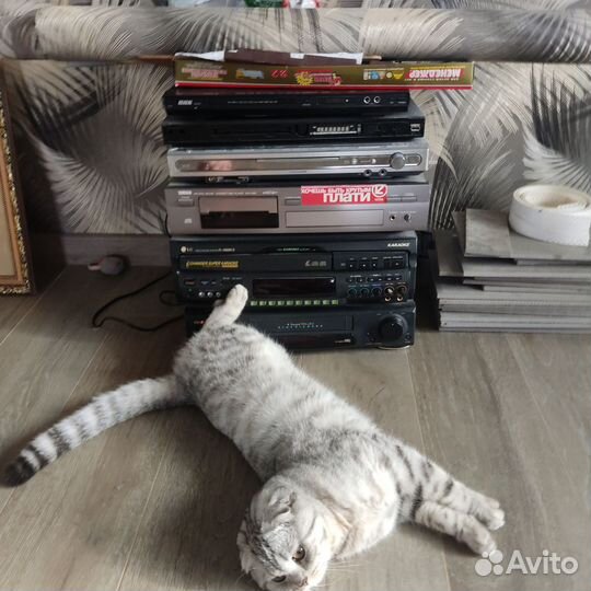 Домашняя аудиосистема